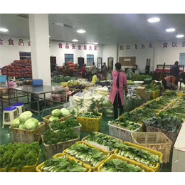 广东万家欢农副产品在线指南 品类概览与销售之道