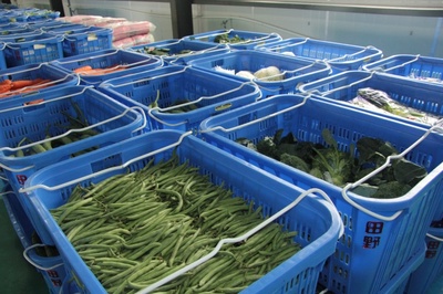 “田野菜篮子” 上海田野农副产品配送服务的创新实践与价值