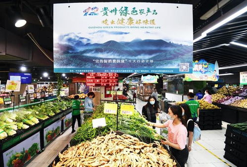 贵阳农村电商 为乡村振兴插上“金翅膀”，畅通农副产品销售新渠道