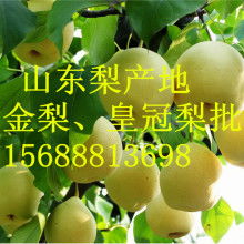 山东莒县农副产品购销处 深耕绿色源头，传递健康滋味