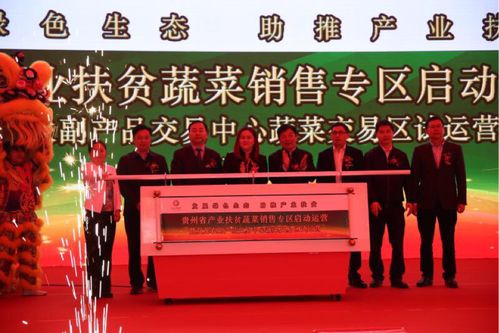 双龙农副产品交易中心蔬菜交易区试运营助力黔货出山