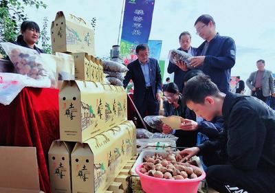 线上线下销售火爆，食品消费新趋势解读