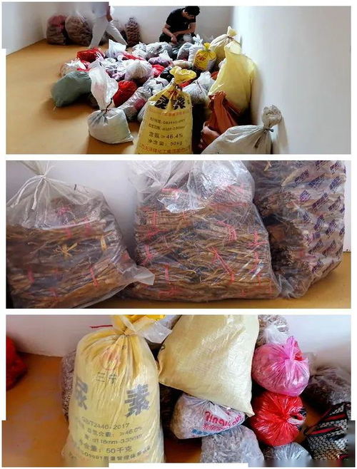 宁州镇农副产品专业合作社紧张筹备不日开业，助力农副产品销售提质增效