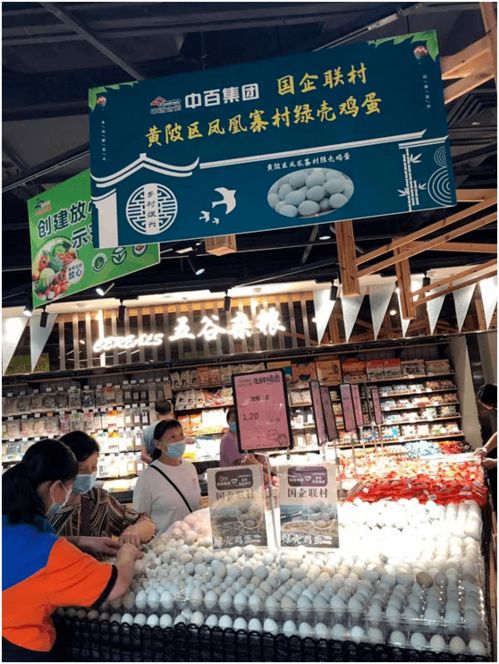 改革攻坚在行动 中百集团国企联村工作纪实，助力乡村振兴