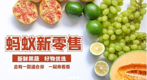 蚂蚁新零售 依托精准扶贫打造中国农副产品电子商务新业态