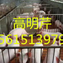 山东农副产品购销处 推动农副产品销售的高效平台