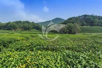 农副产品图片素材下载 助力零售百货行业营销升级