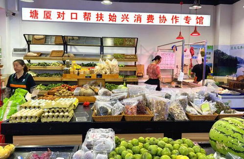 韶关始兴百种优质农副产品直达东莞塘厦，打开食品销售新篇章