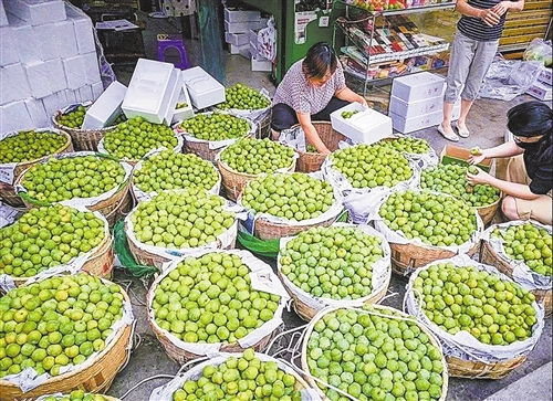 脱贫攻坚助残带货 农副产品销售的新路径